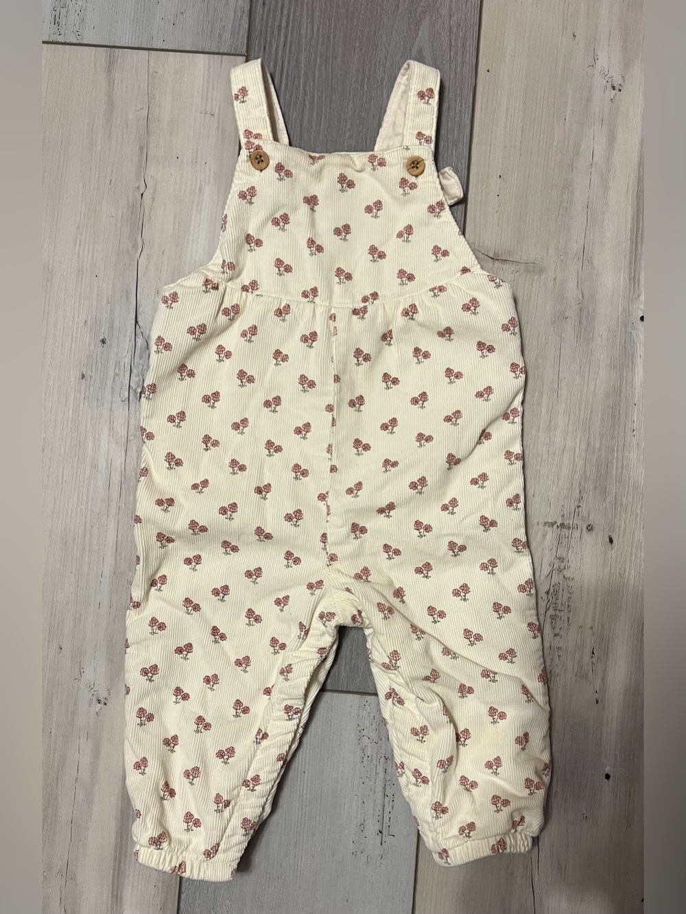 Little Planet by Carter’s Organic Corduroy Floral Overalls 12 Months